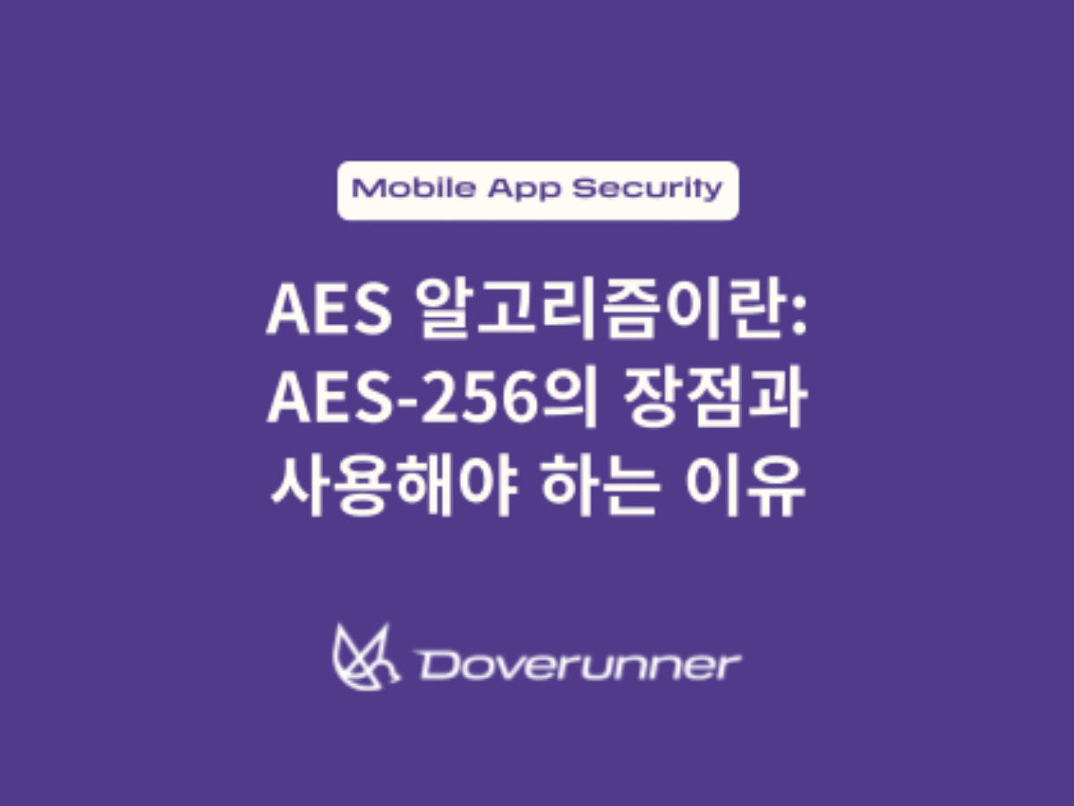 AES 알고리즘이란: AES-256의 장점과 사용해야 하는 이유 - DoveRunner