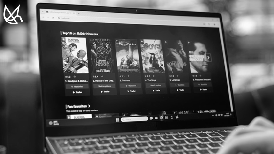 DRM in streaming media