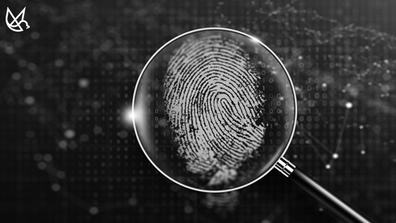 Protecting Content at Scale: What to Do After Implementing Forensic Watermarking