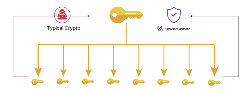 화이트박스 암호화, 도브러너