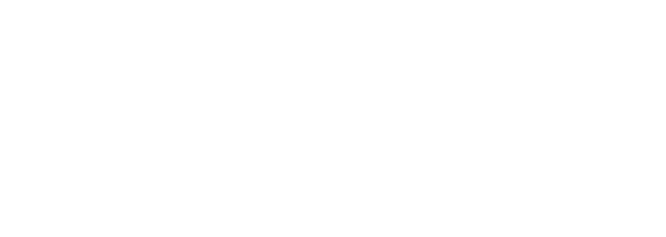 DoveRunner